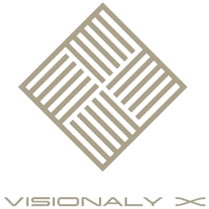 VisionaryX