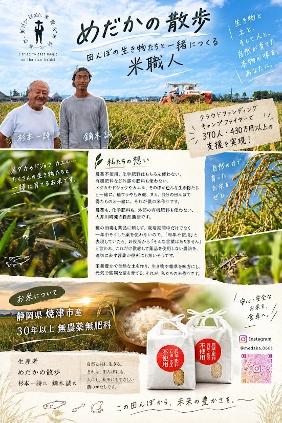 めだかの散歩の紹介。生産者の杉本一詩さんと鏑木誠さん、黄金色の田んぼ、静岡県焼津市産・30年以上無農薬無肥料のお米