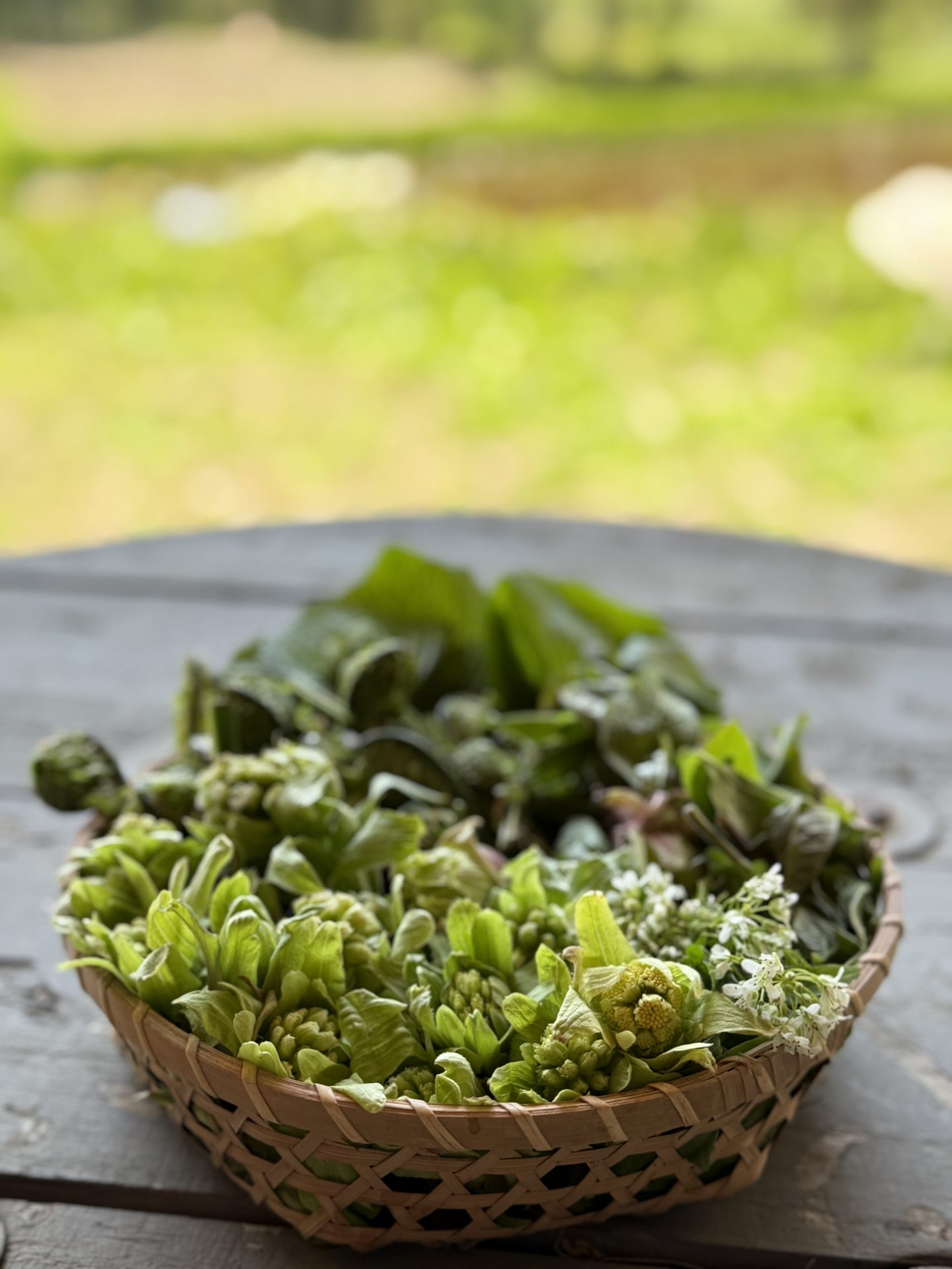 竹かごに盛られた山菜